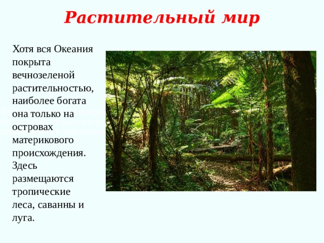 Хотя вся Океания покрыта вечнозеленой растительностью, наиболее богата она только на островах материкового происхождения. Здесь размещаются тропические леса, саванны и луга. Растительный мир Хотя вся Океания покрыта вечнозеленой растительностью, наиболее богата она только на островах материкового происхождения. Здесь размещаются тропические леса, саванны и луга. 