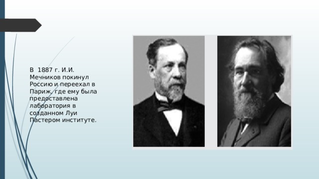 В 1887 г. И.И. Мечников покинул Россию и переехал в Париж, где ему была предоставлена лаборатория в созданном Луи Пастером институте. 