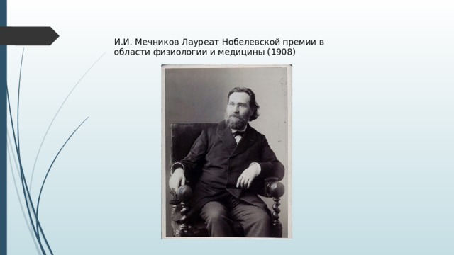 И.И. Мечников Лауреат Нобелевской премии в области физиологии и медицины (1908) 