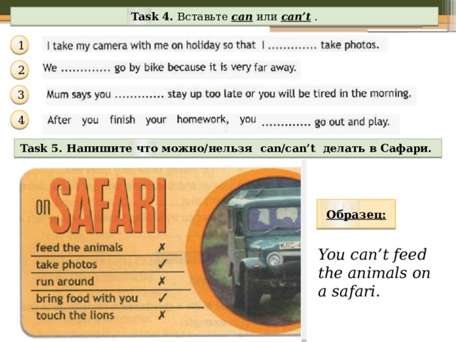 Task 4. Вставьте can или can’t . 1 2 3 4 Task 5. Напишите что можно/нельзя can/can’t делать в Сафари. Образец: You can’t feed the animals on a safari. 