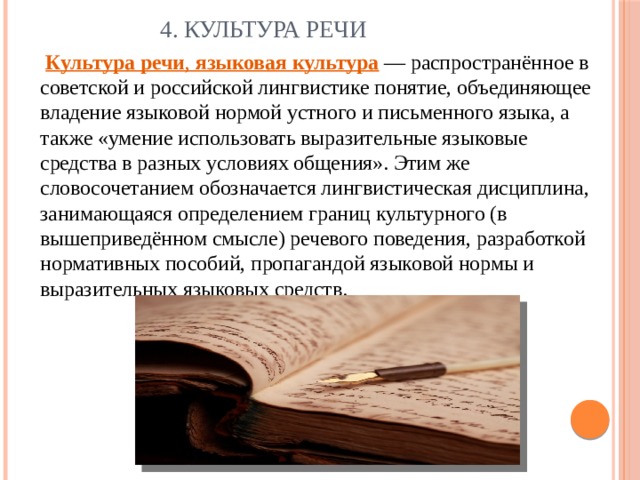 Жаргоны и культура речи презентация