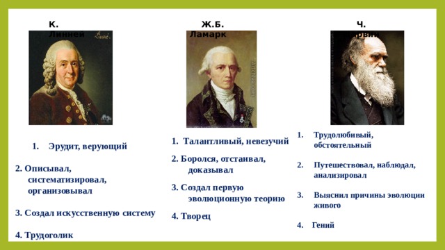 К. Линней  Ж.Б. Ламарк Ч. Дарвин Трудолюбивый, обстоятельный  Путешествовал, наблюдал, анализировал  Выяснил причины эволюции живого  4. Гений 1. Талантливый, невезучий 2. Боролся, отстаивал, доказывал 3. Создал первую эволюционную теорию 4. Творец Эрудит, верующий Эрудит, верующий  2. Описывал, систематизировал, организовывал  3. Создал искусственную систему  4. Трудоголик  