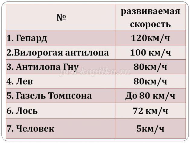 Скорость карта 9 л с