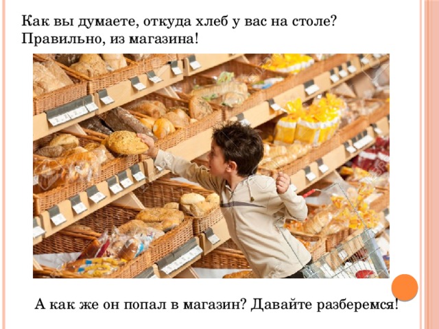 Как вы думаете, откуда хлеб у вас на столе? Правильно, из магазина! А как же он попал в магазин? Давайте разберемся! 