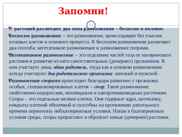 Запомни!  У растений различают два типа размножения – бесполое и половое. Бесполое размножение  – это размножение, происходящее без участия половых клеток и полового процесса. В бесполом размножении различают два способа: вегетативное размножение и размножение спорами. Вегетативное размножение  – это отделение частей тела от материнского растения и развитие из него самостоятельных (дочерних) организмов. В нем участвует лишь  один родитель , тогда как в половом размножении всегда участвуют  два родительских организма :  женский и мужской . Размножение спорами  происходит благодаря развитию у организма особых, специализированных клеток –  спор . Такое размножение свойственно водорослям, моховидным и папоротниковидным растениям. Споры – это отдельные мелкие клетки. Они содержат ядро, цитопазму, покрыты плотной оболочкой и способны на протяжении длительного времени переносить неблагоприятные условия. Попав в благоприятные условия среды, споры прорастают и образуют новые (дочерние) растения. 