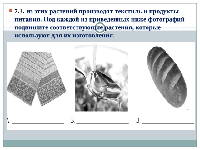 7.3. из этих растений производят текстиль и продукты питания. Под каждой из приведенных ниже фотографий подпишите соответствующие растения, которые используют для их изготовления. 13 13 