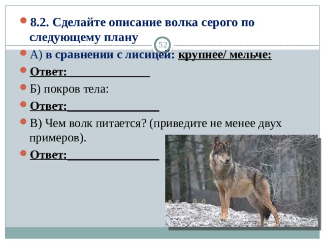 8.2. Сделайте описание волка серого по следующему плану А) в сравнении с лисицей: крупнее/ мельче: Ответ: _____________ Б) покров тела: Ответ:_______________ В) Чем волк питается? (приведите не менее двух примеров). Ответ:_______________ 13 