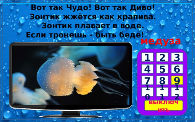 Вот так Чудо! Вот так Диво!  Зонтик жжётся как крапива.  Зонтик плавает в воде.  Если тронешь - быть беде!         медуза 3 2 1 5 4 6 7 8 9 10 11 12 выключить 
