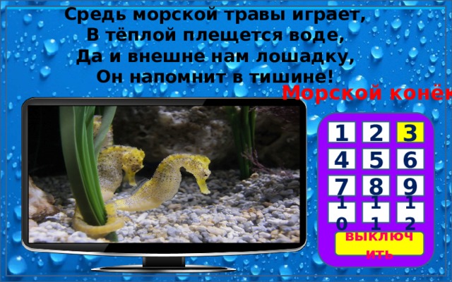 Морской конёк Средь морской травы играет, В тёплой плещется воде, Да и внешне нам лошадку, Он напомнит в тишине!        1 2 3 6 4 5 9 8 7 10 11 12 выключить 