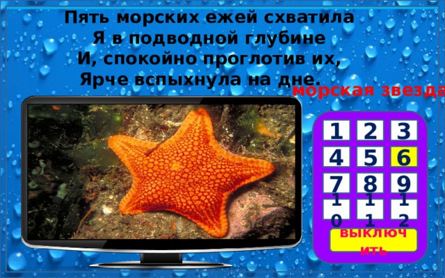 Пять морских ежей схватила   Я в подводной глубине   И, спокойно проглотив их,   Ярче вспыхнула на дне.        морская звезда 3 1 2 6 5 4 7 8 9 10 11 12 выключить 