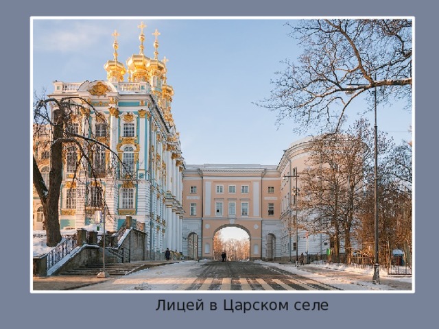 Лицей пушкина в царском селе фото