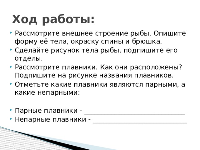 Рассмотрите рисунок опишите щенков не используя ни одного имени прилагательного