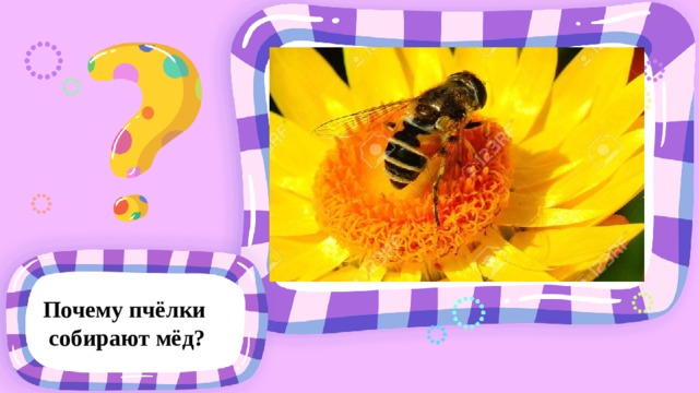 Почему пчёлки собирают мёд? 