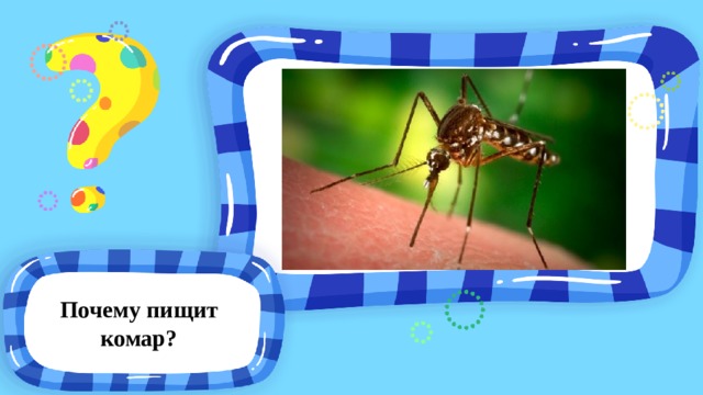 Почему пищит комар? 