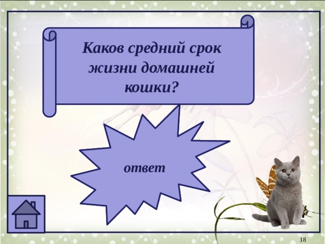Сколько живут домашние кошки