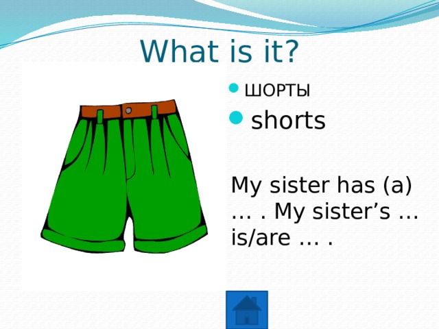 What is it? ШОРТЫ shorts My sister has (a) … . My sister’s … is/are … . 