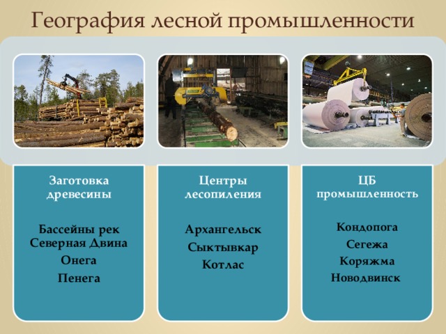 Презентация лесопромышленный комплекс 8 класс география полярная звезда