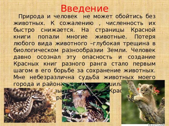 Животные Кулебакского района,занесенные в Красную книгу Кулебакского района