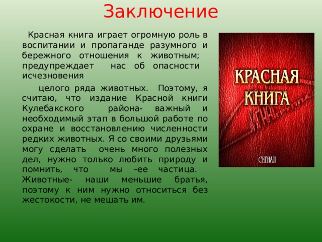 Заключение проекта красная книга