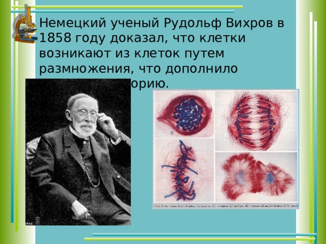 Немецкий ученый Рудольф Вихров в 1858 году доказал, что клетки возникают из клеток путем размножения, что дополнило клеточную теорию. 