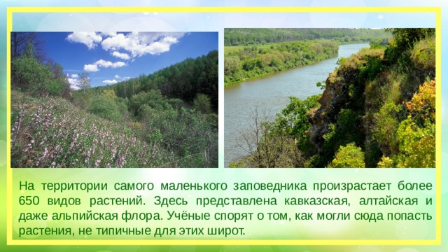 На территории самого маленького заповедника произрастает более 650 видов растений. Здесь представлена кавказская, алтайская и даже альпийская флора. Учёные спорят о том, как могли сюда попасть растения, не типичные для этих широт. 