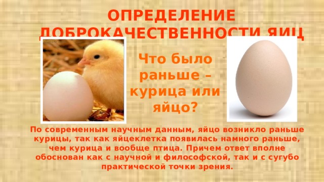 Определение доброкачественности яиц Что было раньше – курица или яйцо? По современным научным данным, яйцо возникло раньше курицы, так как яйцеклетка появилась намного раньше, чем курица и вообще птица. Причем ответ вполне обоснован как с научной и философской, так и с сугубо практической точки зрения. 