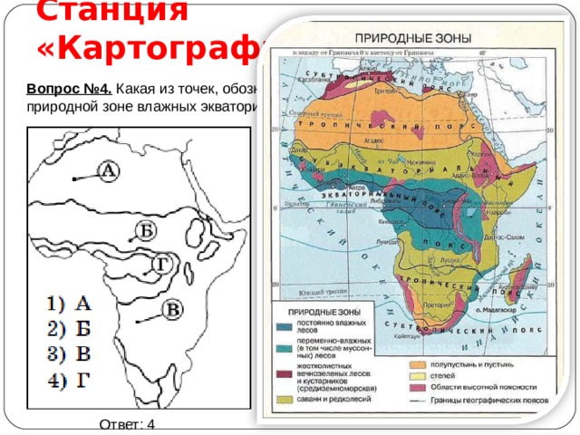 Станция «Картографическая» Вопрос №4. Какая из точек, обозначенных на карте Африки, расположена в природной зоне влажных экваториальных лесов? Ответ: 4 