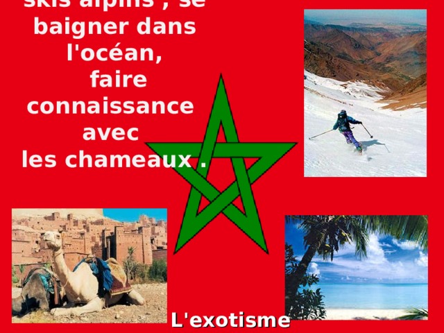 Dans cette place unique on peut faire du skis alpins , se baigner dans l'océan,  faire connaissance avec  les chameaux .               L'exotisme!