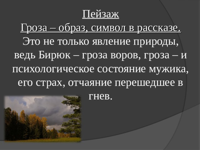 Кратчайшее содержание рассказа бирюк