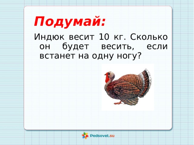 Индюк схема слова