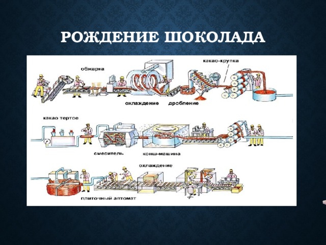 Рождение шоколада 