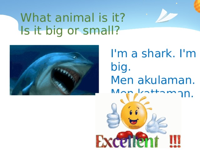 What animal is it? Is it big or small? I'm a shark. I'm big. Men akulaman. Men kattaman. 