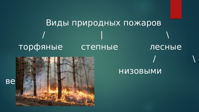 Природные пожары виды