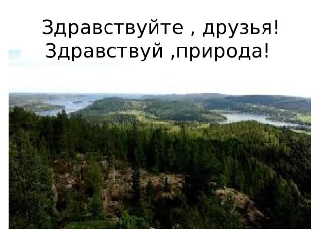 Здравствуйте , друзья! Здравствуй ,природа! !! 