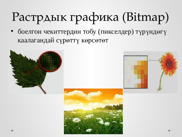 Растрдык графика (Bitmap) боелгон чекиттердин тобу (пикселдер) түрүндөгү каалагандай сүрөттү көрсөтөт 