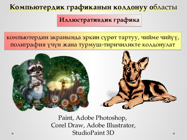 Компьютердик графиканын колдонуу о бласты Иллюстративдик графика компьютердин экранында эркин сүрөт тартуу, чийме чийүү, полиграфия үчүн жана турмуш-тиричиликте колдонулат Paint, Adobe Photoshop, Corel Draw, Adobe Illustrator, StudioPaint 3D 