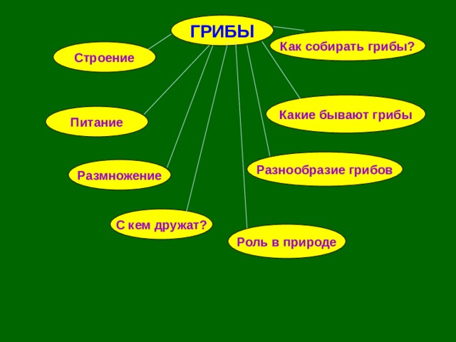 Экологические связи в которых участвуют грибы. Кластер царство грибов. Кластер на тему грибы. Кластер по биологии про грибы. Кластер по теме царство грибов.