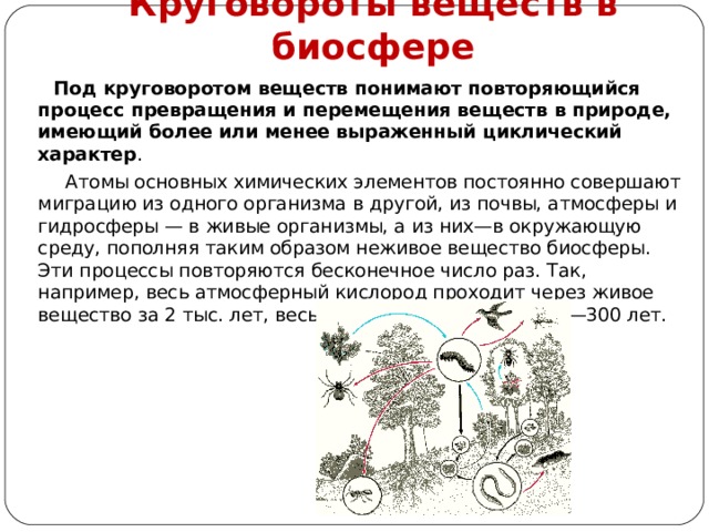 Круговороты веществ в биосфере  Под круговоротом веществ понимают повторяющийся процесс превращения и перемещения веществ в природе, имеющий более или менее выраженный циклический характер .  Атомы основных химических элементов постоянно совершают миграцию из одного организма в другой, из почвы, атмосферы и гидросферы — в живые организмы, а из них—в окружающую среду, пополняя таким образом неживое вещество биосферы. Эти процессы повторяются бесконечное число раз. Так, например, весь атмосферный кислород проходит через живое вещество за 2 тыс. лет, весь углекислый газ — за 200—300 лет. 