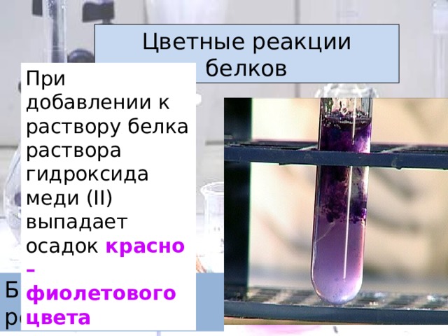 Цветные реакции белков презентация