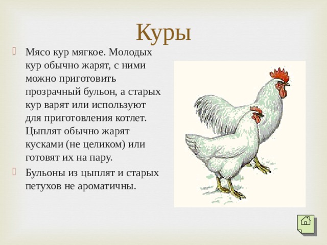 Как отличить старую курицу от молодой