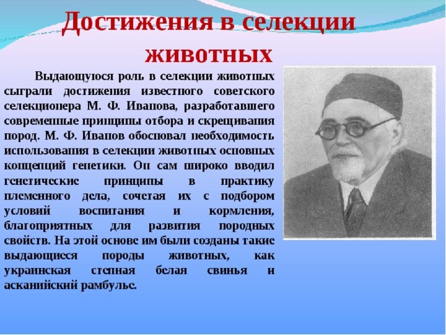 Презентация по селекции