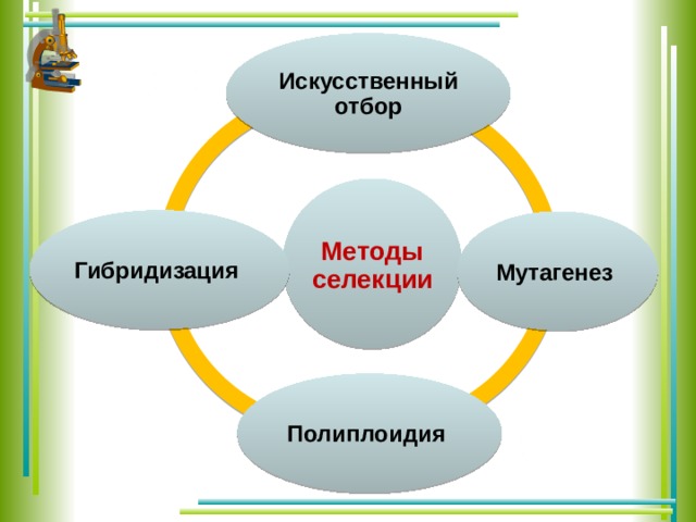 Селекция животных одомашнивание презентация