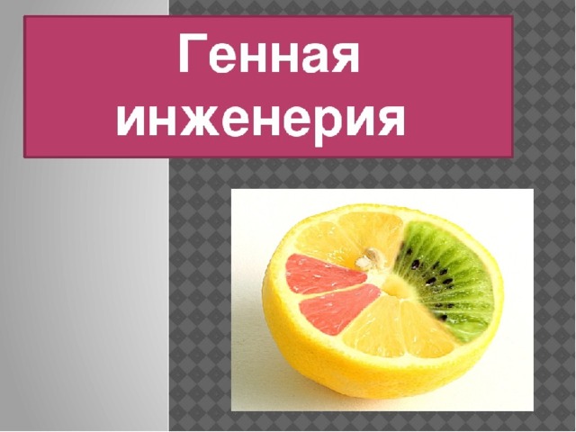 Генная инженерия презентация это