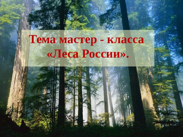 Тема мастер - класса «Леса России». 