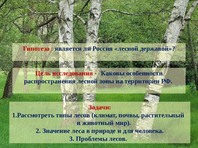 Почему россия лесная держава. Почему Россию называют Лесной державой. Лесная держава растительный мир. Презентация школьников по климату и почве.