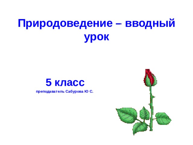 Что относится к живой и неживой природе 5 класс география