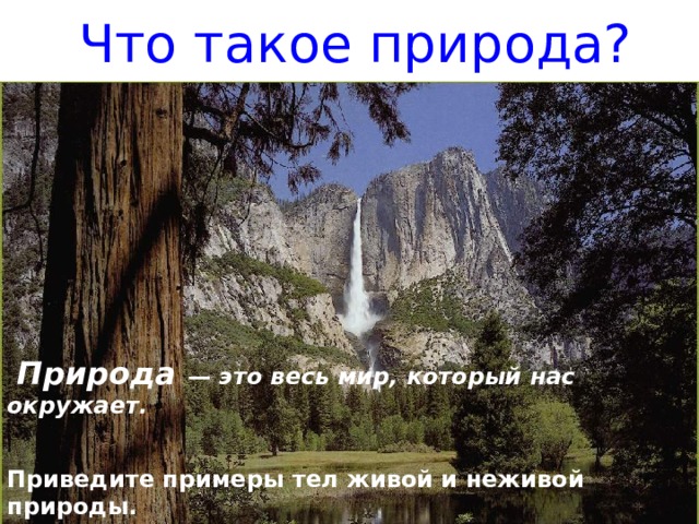 Что относится к живой и неживой природе 5 класс география