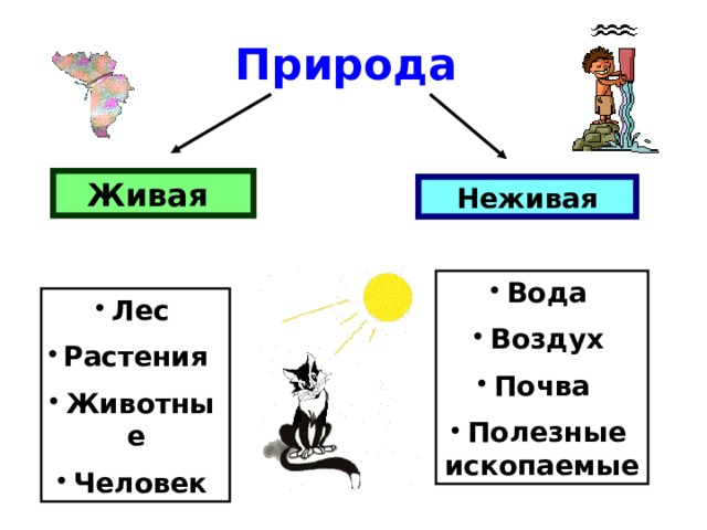 Живая природа примеры. Живая и неживая природа. Объекты живой или неживой природы. Природа бывает Живая и неживая. Таблица Живая и неживая природа.