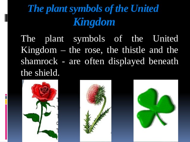 Symbols of the uk презентация
