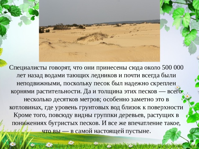 Специалисты говорят, что они принесены сюда около 500 000 лет назад водами тающих ледников и почти всегда были неподвижными, поскольку песок был надежно скреплен корнями растительности. Да и толщина этих песков — всего несколько десятков метров; особенно заметно это в котловинах, где уровень грунтовых вод близок к поверхности Кроме того, повсюду видны группки деревьев, растущих в понижениях бугристых песков. И все же впечатление такое, что вы — в самой настоящей пустыне. 